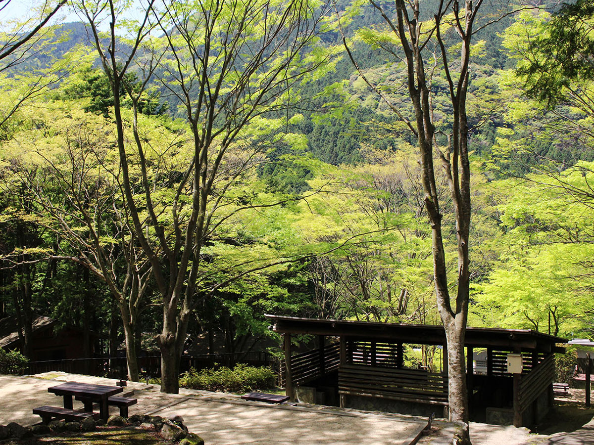 求菩提キャンプ場