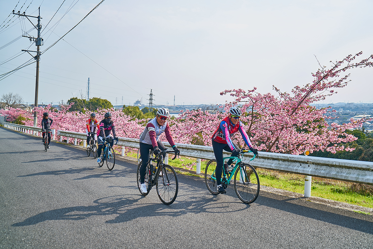 サイクル豊前