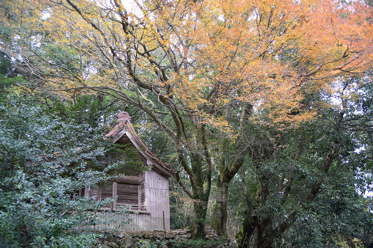 求菩提山